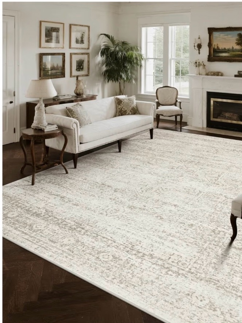 Home Accents Ivory Distressed-Style AREA RUG- really pretty-